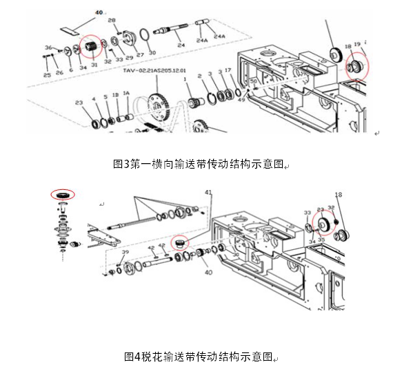 第一橫向輸送帶傳動(dòng)結(jié)構(gòu)示意圖和稅花輸送帶傳動(dòng)結(jié)構(gòu)示意圖