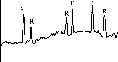 稱(chēng)重儀動(dòng)態(tài)實(shí)驗(yàn)記錄圖