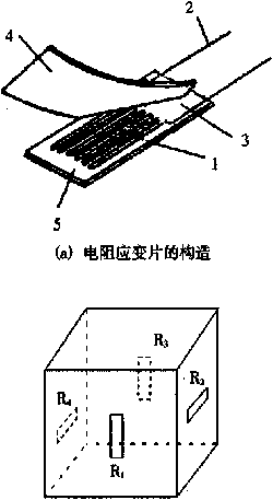 傳感器內(nèi)部的應(yīng)變片圖